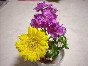 �؂�߂������o�R�p�������Ă݂܂����I