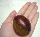 ����Ȃɑ傫����������܂���