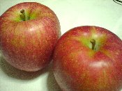 ��H�@��񂲂����������G�߂ɂȂ�܂����I