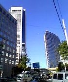 ���ꂢ�Ȑ�