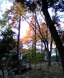 �߂��̑�w�̒���