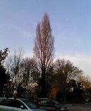 �����Ƃ��т�����