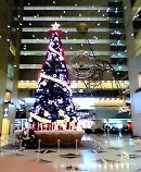 �V�h�m�r�r���̃N���X�}�X�c���[