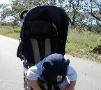 ���̎p�������C�ɓ���E�E�E