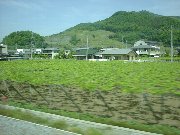 �Ԃǂ������L�����Ă���b�{�̒�