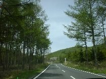 ����������ł��܂�