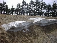 �Ⴊ�c���Ă��܂�