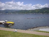 �z�K�΂̂قƂ�ɂ���܂�