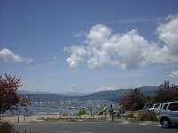 �������V�C�ł�