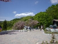 �����ɂ����d��