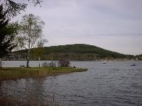 �����Ȍ΂ł�