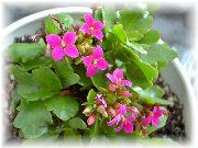 �~���z������