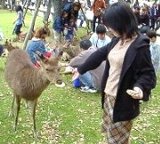 ������ׂ���H�ׂ鎭