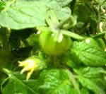 �~�j�g�}�g�Ɖ�