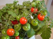 �~�j�g�}�g