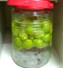 �n�����̔~��